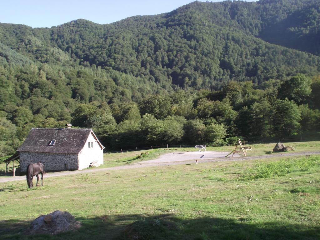 Les Chalets De La Foret D'Issaux Osse-en-Aspe الغرفة الصورة