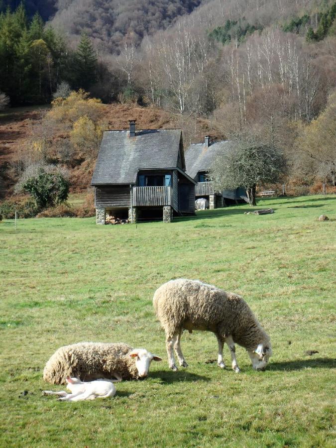 Les Chalets De La Foret D'Issaux Osse-en-Aspe المظهر الخارجي الصورة